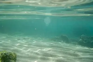 Water Beach Prints: Algae rock underwater green reflection. High quality photo