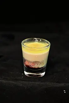 Liquor Prints: Alien Brain Hemorrhage shot cocktail with schnapps