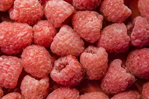 Prevent Prints: All over raspberries !