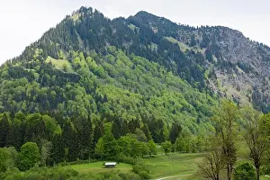 Naturlich Prints: Allgäu, Wiesen, Felder, Berghang, Wald