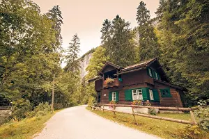 Alpine house and trail into the woods. Tranquil nature landscape, green pine trees, vintage color effect