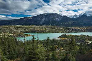 alpine meadows around Fraser, South Klondike Highway, British Columbia, Canada
