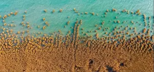 Balaton Prints: Alsoors Hungary - Aerial view of beautiful reeds formation with crystal clear turquoise water at lake Balaton