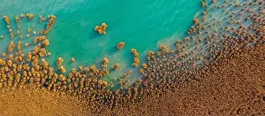 Balaton Prints: Alsoors Hungary - Aerial view of beautiful reeds formation with crystal clear turquoise water at lake Balaton