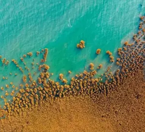 Alsoors Hungary - Aerial view of beautiful reeds formation with crystal clear turquoise water at lake Balaton