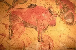 Cantabria Prints: The Altamira Caves, Cantabria. Spanish rock art