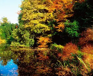 Environments Prints: Altamont Garden, Co Carlow, Ireland; Lake And Foliage During Autumn
