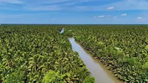 Amazing aerial view from drone of Mekong Delta countryside
