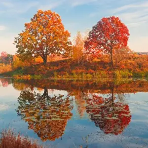 Nature Canada Prints: Amazing autumn landscape, forest lake with reflection