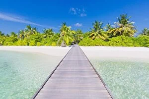 Images Dated 11th January 2017: Amazing beach landscape, long jetty into the palm trees. Maldives, paradise beach background