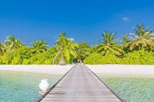 Images Dated 7th January 2017: Amazing beach landscape, long jetty into the palm trees. Maldives, paradise beach background