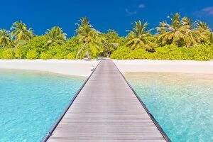 Images Dated 5th January 2017: Amazing beach landscape, long jetty into the palm trees. Maldives, paradise beach background
