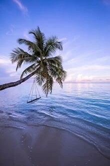 Images Dated 25th May 2019: Amazing beach with palm trees and swing at sunset. Beautiful sunset on tropical sea beach