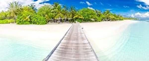 Images Dated 10th May 2018: Amazing beach scene, long jetty into the palm trees. Maldives, paradise beach background