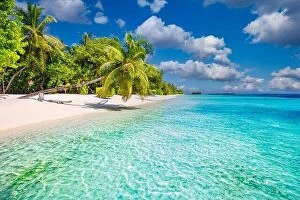 Images Dated 11th January 2017: Amazing island beach. Tropical landscape of summer scenery, white sand with palm trees