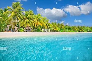 Images Dated 3rd May 2018: Amazing island beach. Tropical landscape of summer scenery, white sand with palm trees