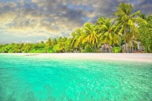 Images Dated 3rd May 2018: Amazing island beach. Tropical landscape of summer scenery, white sand with palm trees