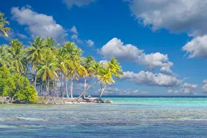 Amazing island beach. Tropical landscape of summer scenery, white sand with palm trees. Luxury travel vacation destination. Exotic beach landscape