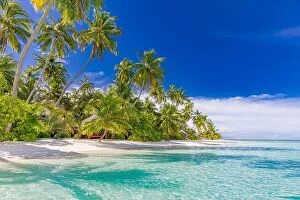 Images Dated 31st October 2019: Amazing nature beach with palm trees and moody sky. Summer vacation travel holiday background