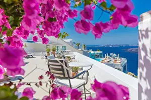 Amazing panoramic landscape, luxury travel vacation. Oia town on Santorini island, Greece. Traditional and famous white architecture and pink flowers