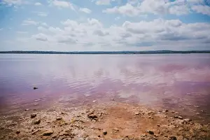 From above of amazing pink salt lake and of shore under cloudless blue sky in sunny summer day