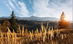 Amazing scene on autumn mountains. Yellow and orange trees in fantastic morning sunlight. Landscape photography