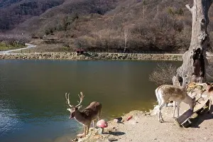 Holiday Lake Prints: Amazing scenery by the artificial lake in Panagitsa village