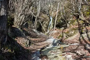 Holiday Lake Prints: Amazing scenery by the little waterfall of Kagia, Panagitsa village, Pella, Greece