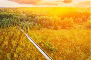 Upland Prints: Amazing Scenic Aerial Bright Sunbeams View Of Nature Reserve Swamp Landscape