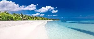 Images Dated 16th December 2018: Amazing summer beach panorama. Exotic island coastline with palm trees
