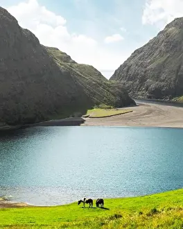 Amazing summer view on Pollurin Laguna in Saksun village. Beauty landscape with two horses on lush green meadow and high mountains