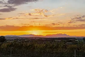 Winery Prints: Amazing sunset views over the Stellenbosch wine region seen from the famous Longridge Wine Estate farm with the typical