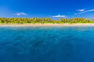 Amazing tropical beach in Maldives with few palm trees and blue lagoon