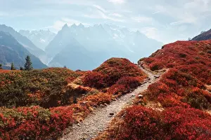 Amazing view on Monte Bianco mountains range with with Monblan on background. Vallon de Berard Nature Preserve, Chamonix, Graian Alps
