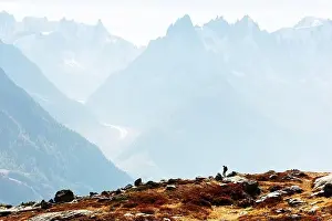 Amazing view on Monte Bianco mountains range with with Monblan on background. Vallon de Berard Nature Preserve, Chamonix, Graian Alps