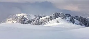 Amazing view of mountains range and snow-capped peaks in winter time. Forest with frost glowing with bright warm sunrise light