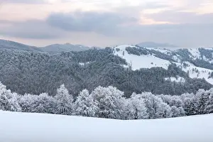 Amazing view of mountains range and snow-capped peaks in winter time. Forest with frost glowing with bright warm sunrise light