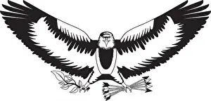 Bald Prints: american bald eagle emblem with arrows and olive branch vector illustration design