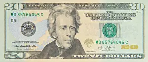 Corporate Business Prints: Twenty american dollar bill