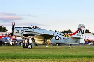 Amerikanisch Prints: American Douglas A-1 Skyraider fighter-bomber