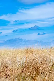 American West Prints: American prairie - USA Mountain West / midwest landscape in Colorado United States - tall grasses & blue sky Arsenal