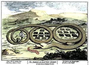 Rattlesnake Prints: THE AMERICAN RATTLESNAKE. /nA cartoon etching by James Gillray