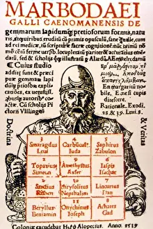Transparency Prints: AMULETS - The precious stones of the High Priest