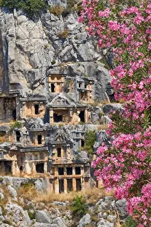Flower Prints: Ancient Lycian rock tombs and blooming oleander flowes, Myra (Demre), Turkey