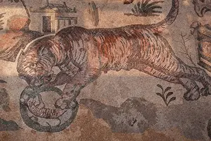 Mother Prints: An ancient method of hunting tigers around a sphere of glass or mirror trap