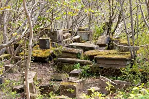 Overgrown Prints: Ancient ruins in a woods. There are many moss covered stone blocks and carvings lying among the trees