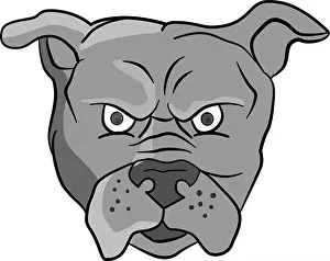 Bulldog Prints: Angry Bulldog Head Cartoon