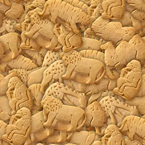Biscuits Prints: Animal Crackers Seamless Texture Tile