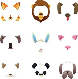Animal faces for video or photo filters