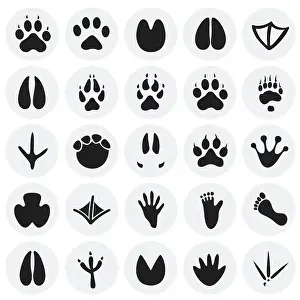 Animal foot prints icons set on circles background for graphic and web design
